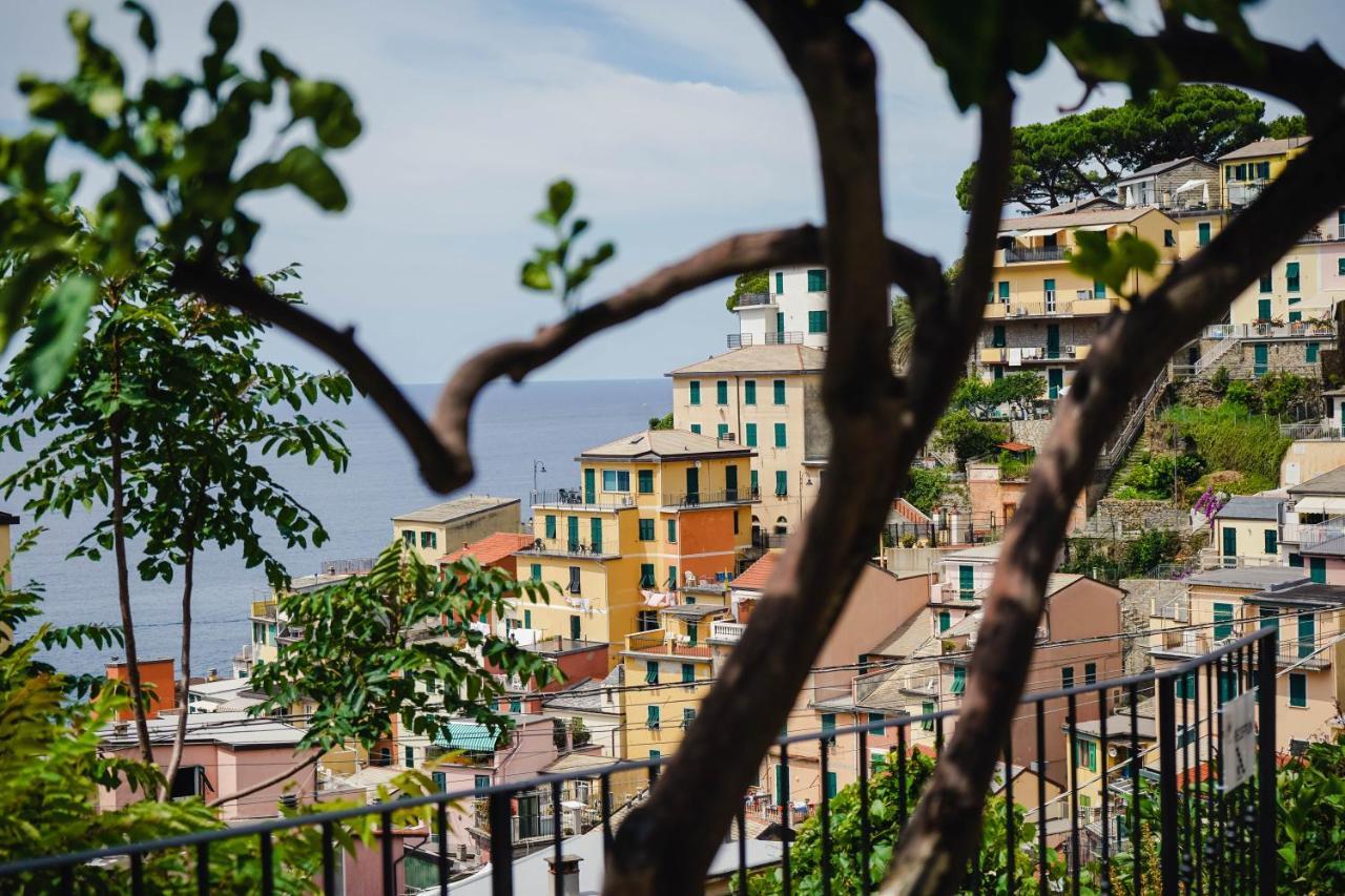 Cinque Terre Coast To Coast